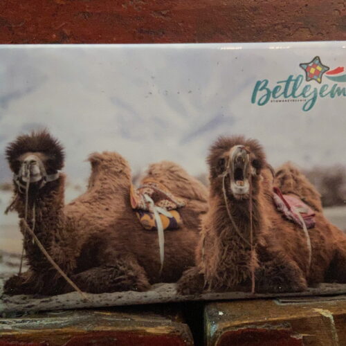 Magnes - Wielbłąd (wersja 2)